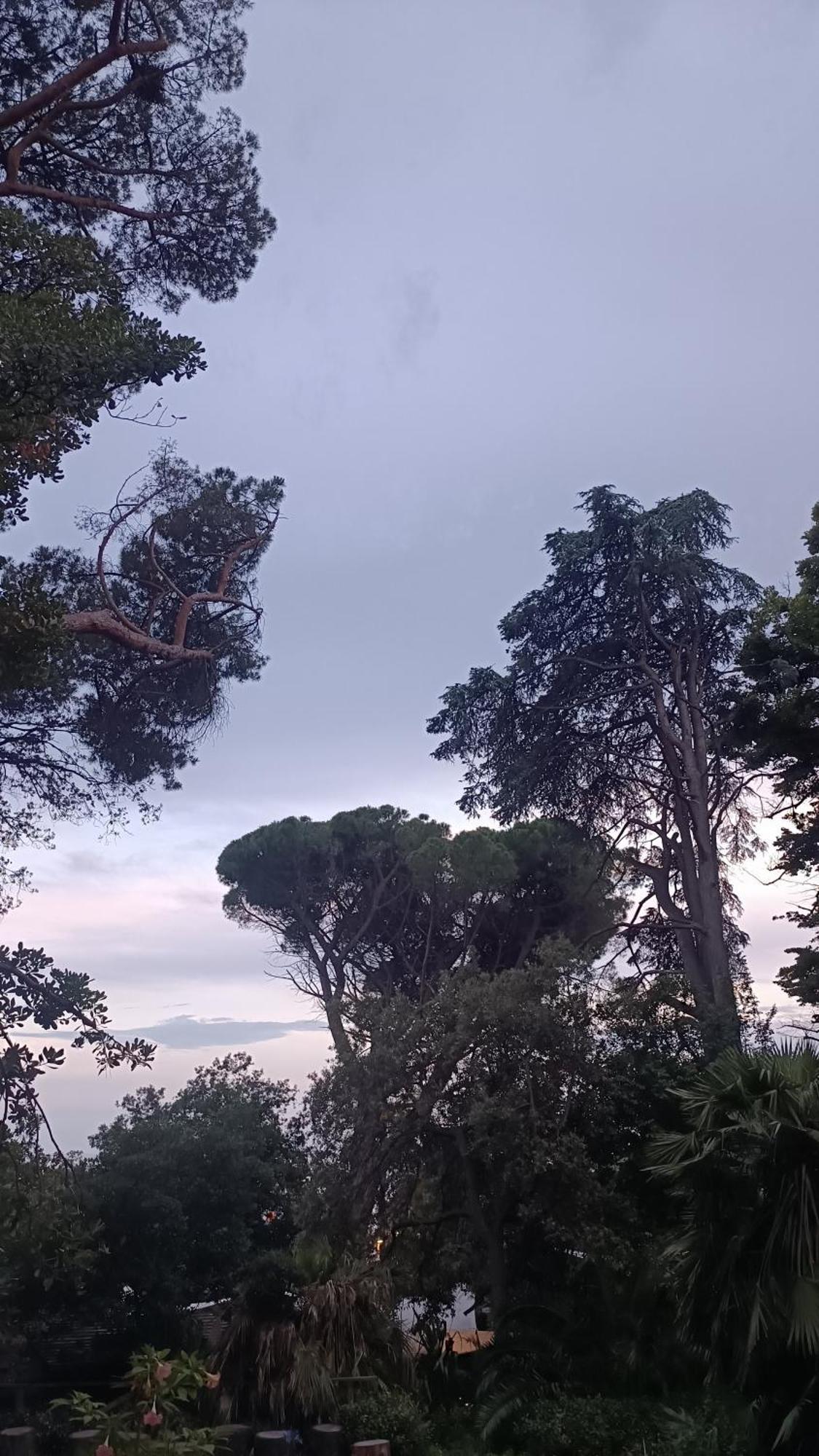 Hotel Sereno Cogoleto Buitenkant foto